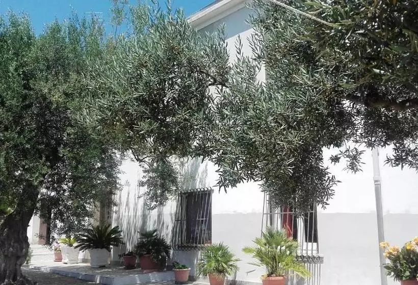 B&b Stella Dell'adriatico