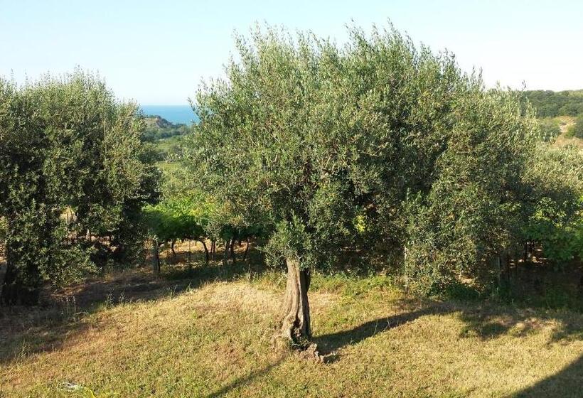 B&b Stella Dell'adriatico