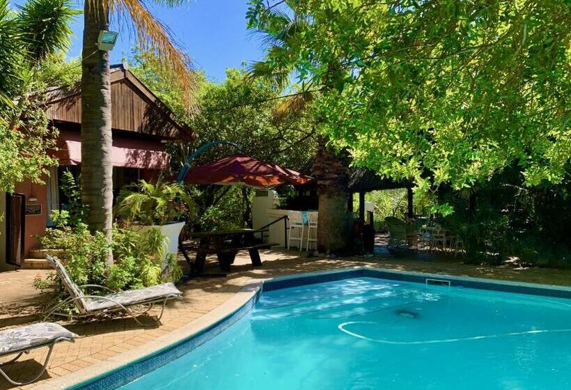 تختخواب و صبحانه The Little Hideaway Guesthouse