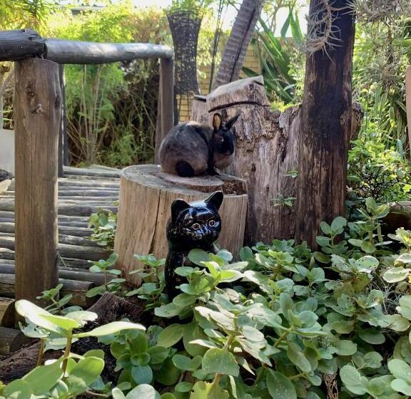 تختخواب و صبحانه The Little Hideaway Guesthouse