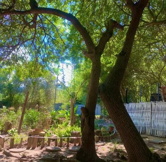 تختخواب و صبحانه The Little Hideaway Guesthouse