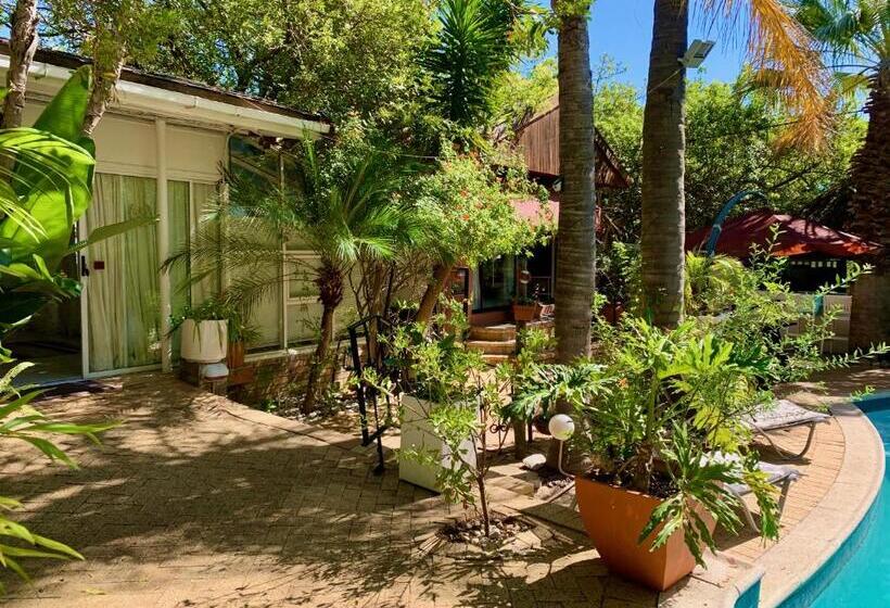 تختخواب و صبحانه The Little Hideaway Guesthouse