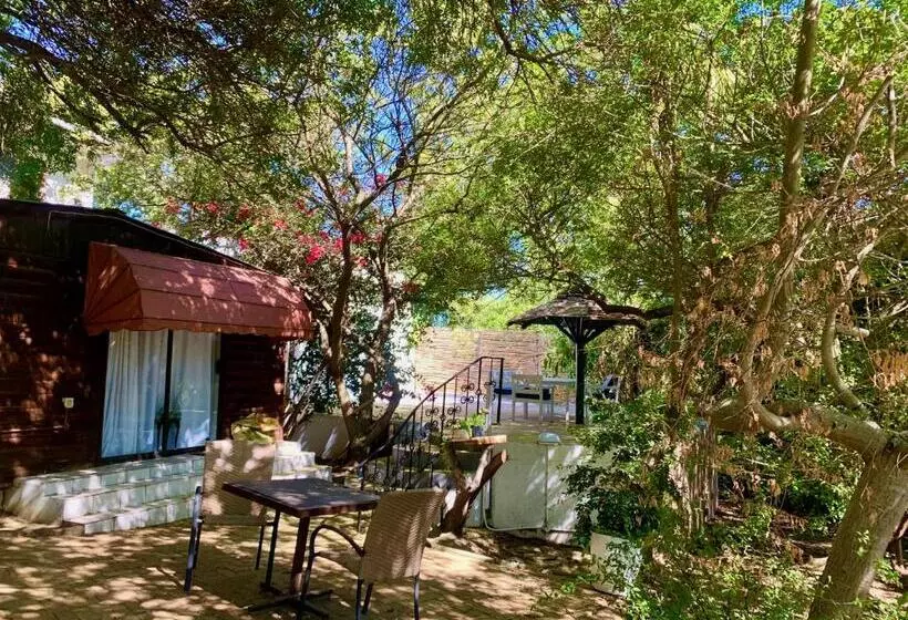 تختخواب و صبحانه The Little Hideaway Guesthouse