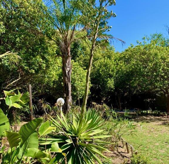 تختخواب و صبحانه The Little Hideaway Guesthouse