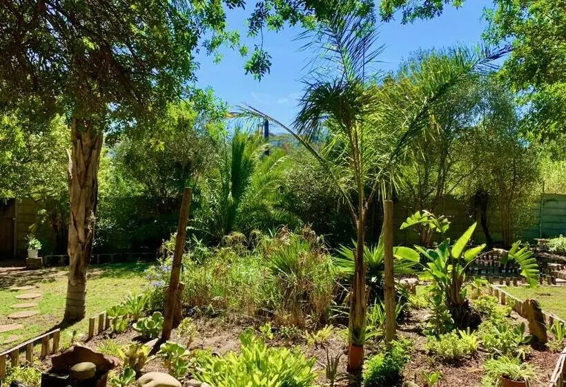تختخواب و صبحانه The Little Hideaway Guesthouse