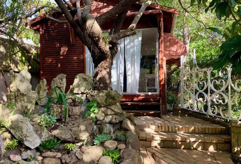 تختخواب و صبحانه The Little Hideaway Guesthouse