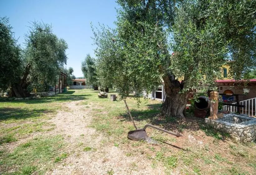 Aamiaismajoitus (B&B) Coppola Rossa Relax