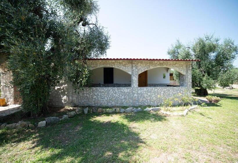 تختخواب و صبحانه Coppola Rossa Relax