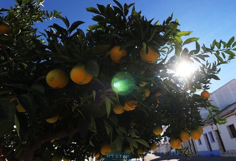 فندق Mystay   Casa De Baco