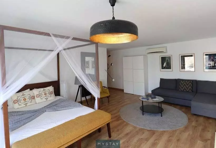 ホテル Mystay   Casa De Baco