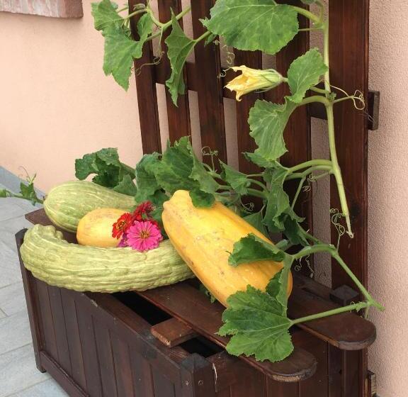 La Corte D Emilio B&b