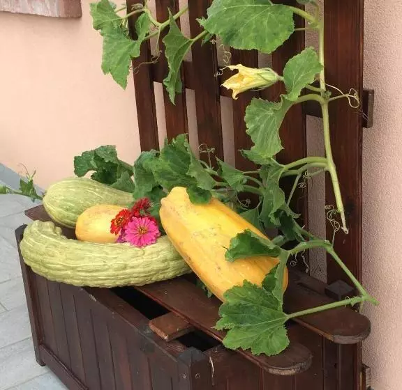 La Corte D Emilio B&b