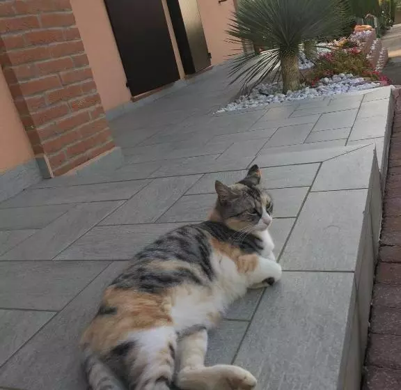 La Corte D Emilio B&b