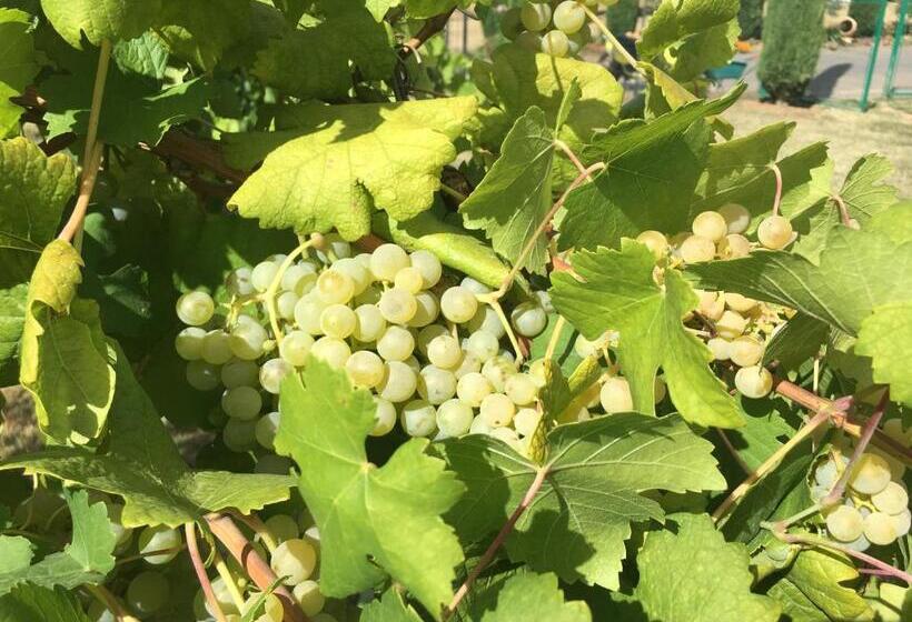 La Corte D Emilio B&b