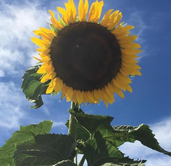 La Corte D Emilio B&b