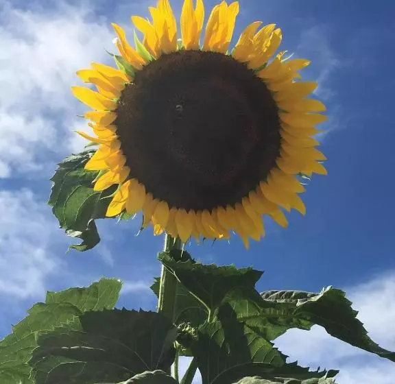 La Corte D Emilio B&b