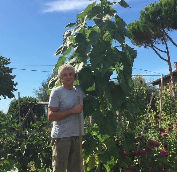 La Corte D Emilio B&b