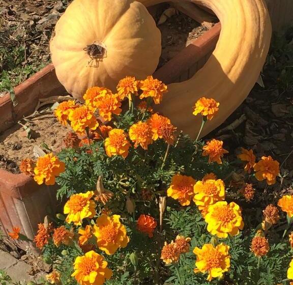 La Corte D Emilio B&b