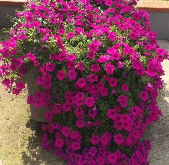 La Corte D Emilio B&b