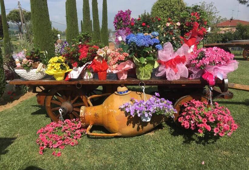 La Corte D Emilio B&b