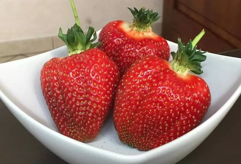 La Corte D Emilio B&b