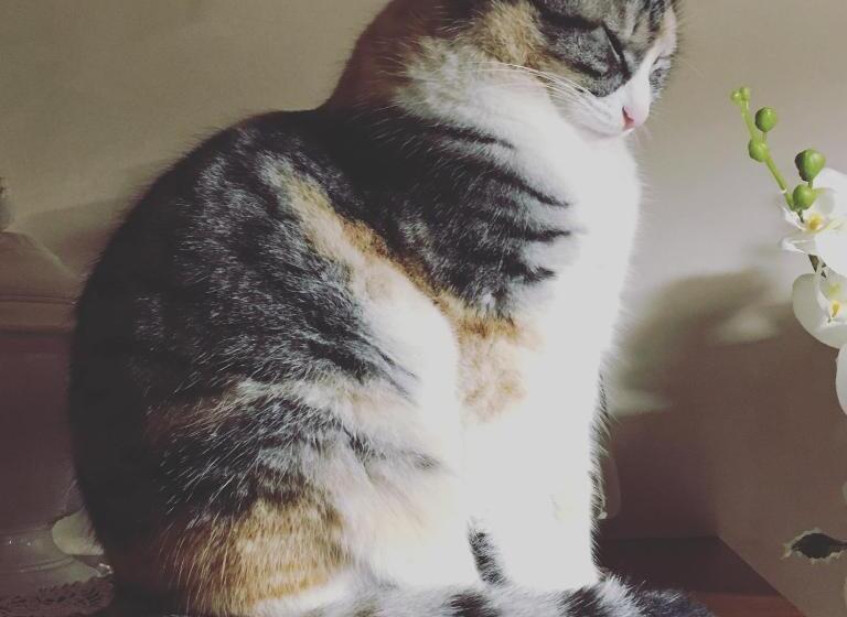 La Corte D Emilio B&b