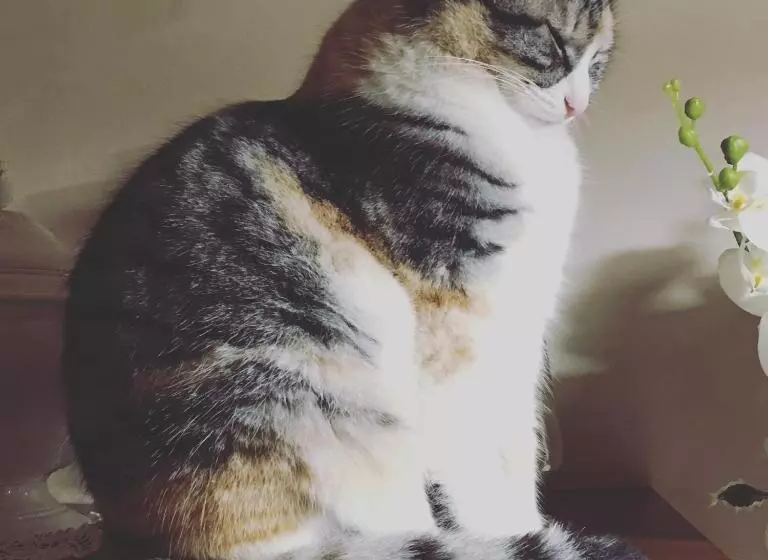 La Corte D Emilio B&b