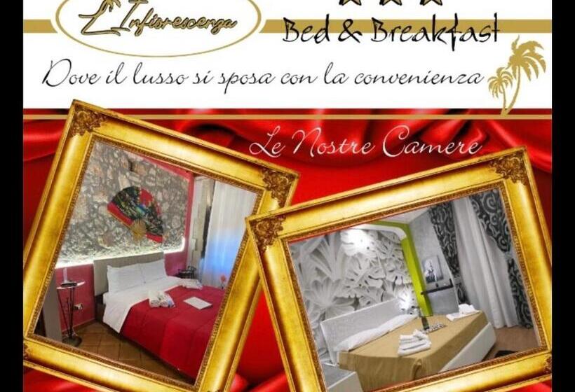 B&b L Infiorescenza New