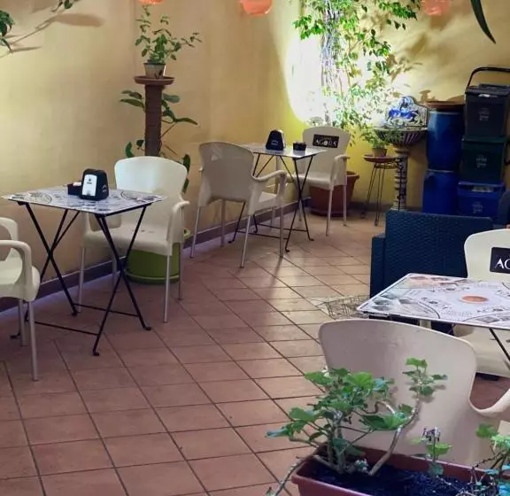 B&b L Infiorescenza New