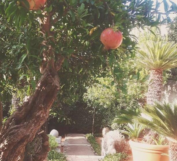 Bed and Breakfast Casa D'autore