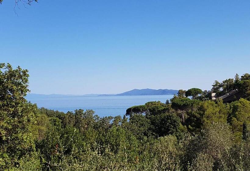 Bed and Breakfast Navarro Hill Resort