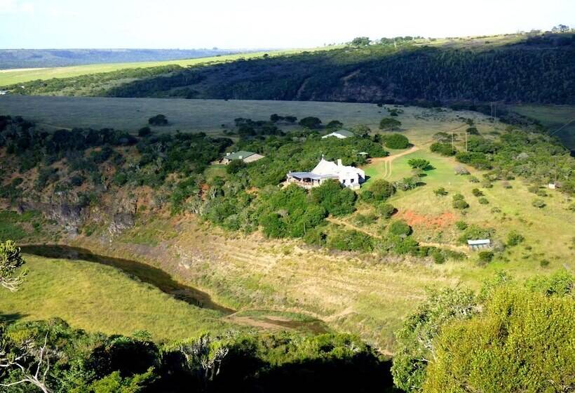 Отель African Safari Lodge