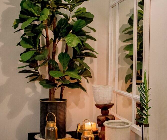 Отель African Safari Lodge