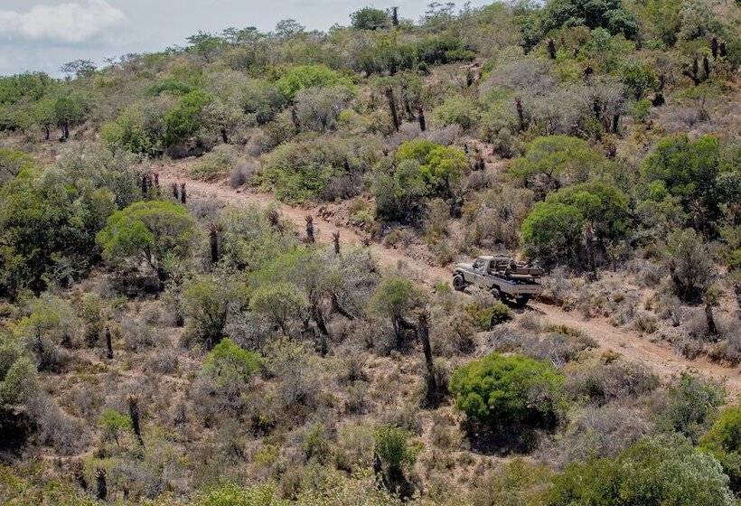 Отель African Safari Lodge