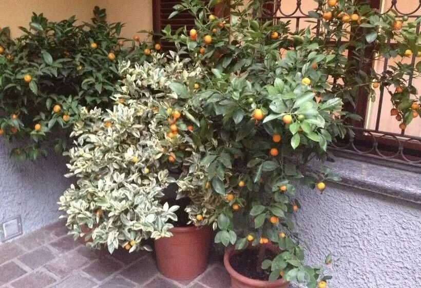 Hotelli Antica Trattoria Dell'uva