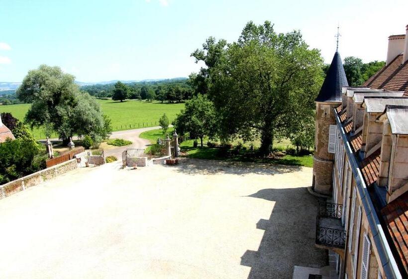 酒店 Château D Island Vézelay