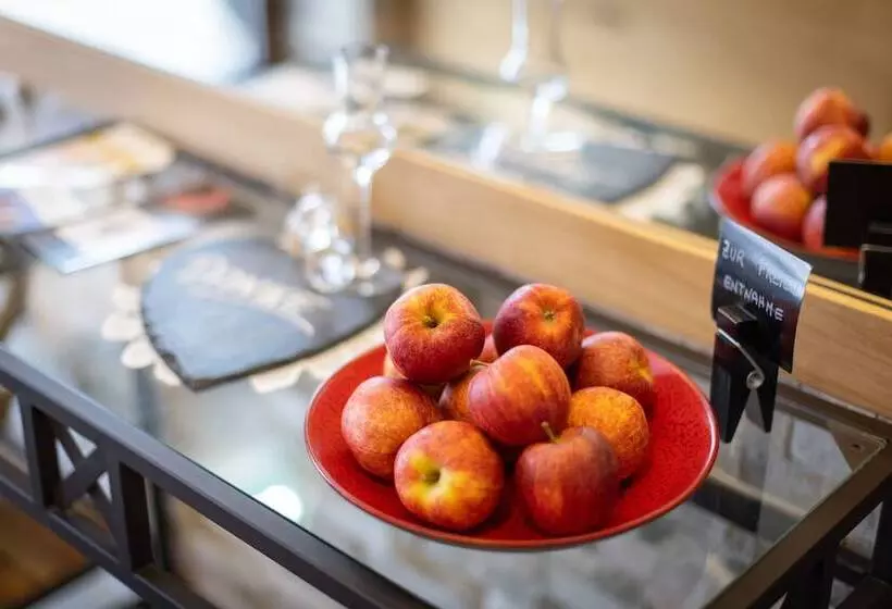 Apart  Und Wellnesshotel Dachsteinresort