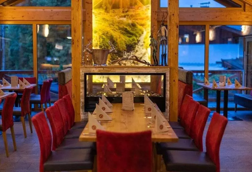 Apart  Und Wellnesshotel Dachsteinresort