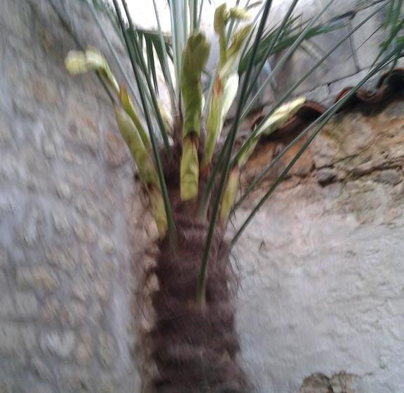 مبيت وإفطار Chambres D Hôtes Bleynieruine De Rome