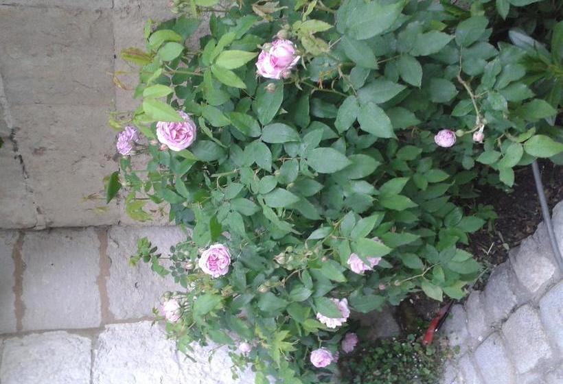 مبيت وإفطار Chambres D Hôtes Bleynieruine De Rome