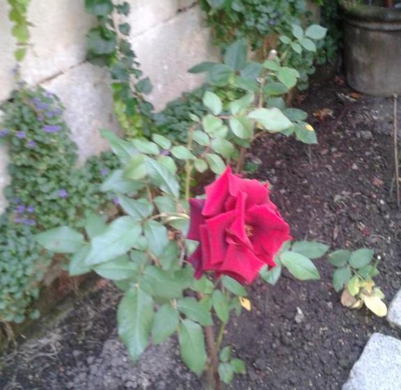 مبيت وإفطار Chambres D Hôtes Bleynieruine De Rome