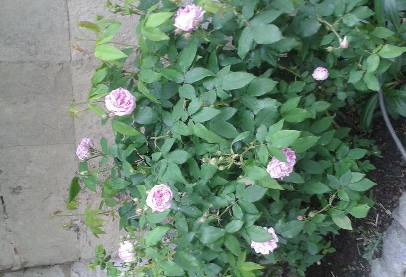 مبيت وإفطار Chambres D Hôtes Bleynieruine De Rome