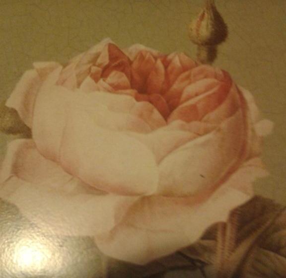 مبيت وإفطار Chambres D Hôtes Bleynieruine De Rome