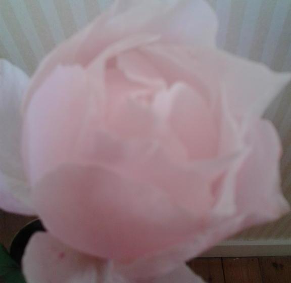 مبيت وإفطار Chambres D Hôtes Bleynieruine De Rome