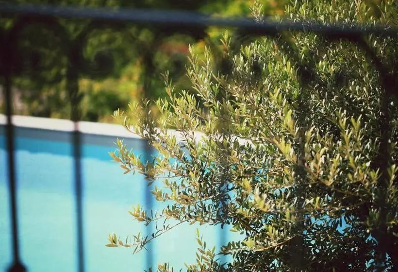 Hotelli Bonheur & Boheme