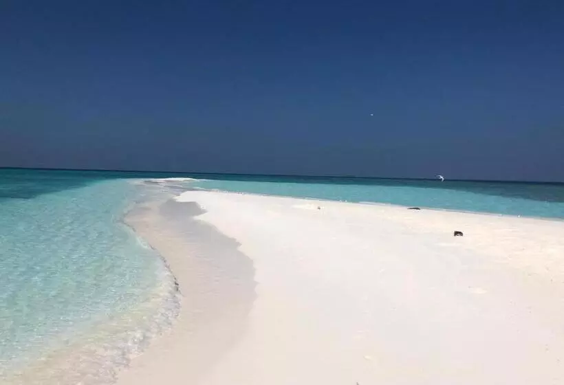 هتل Canopus Retreat Thulusdhoo