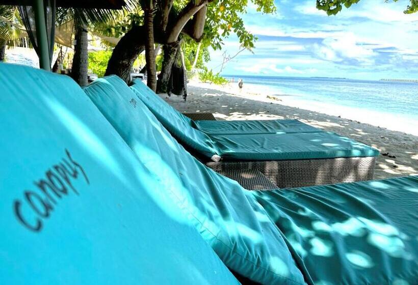 هتل Canopus Retreat Thulusdhoo