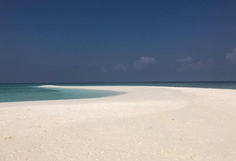 هتل Canopus Retreat Thulusdhoo