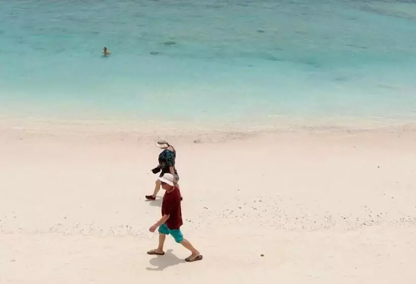 هتل Canopus Retreat Thulusdhoo