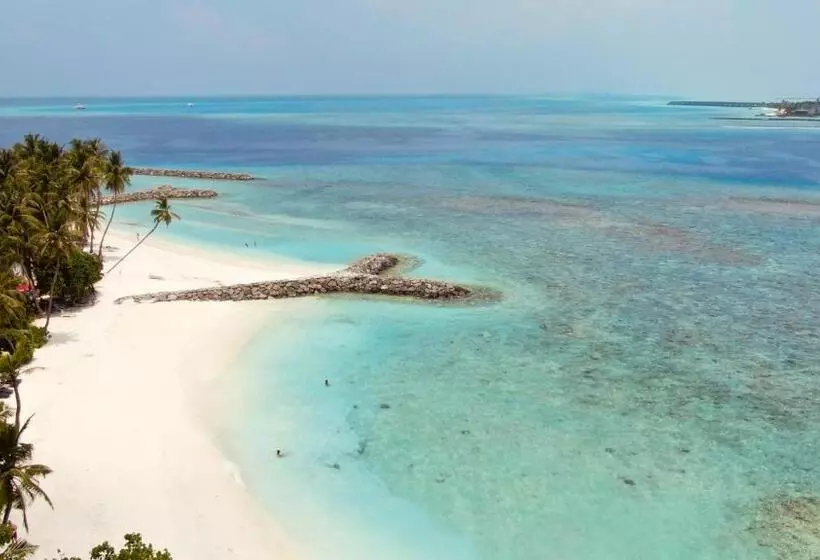 هتل Canopus Retreat Thulusdhoo